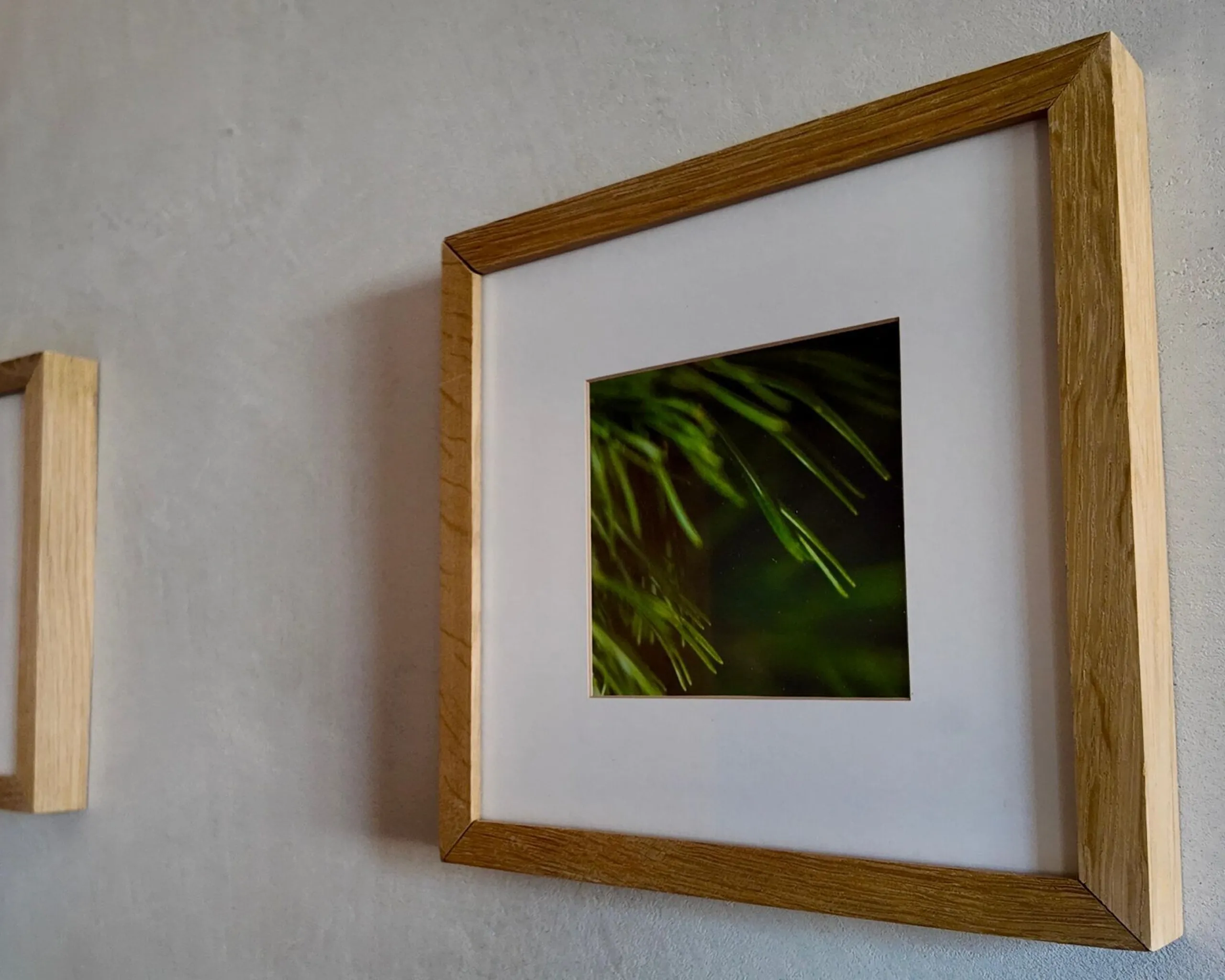 Whats App Image 2026 03 14 at 11 44 40