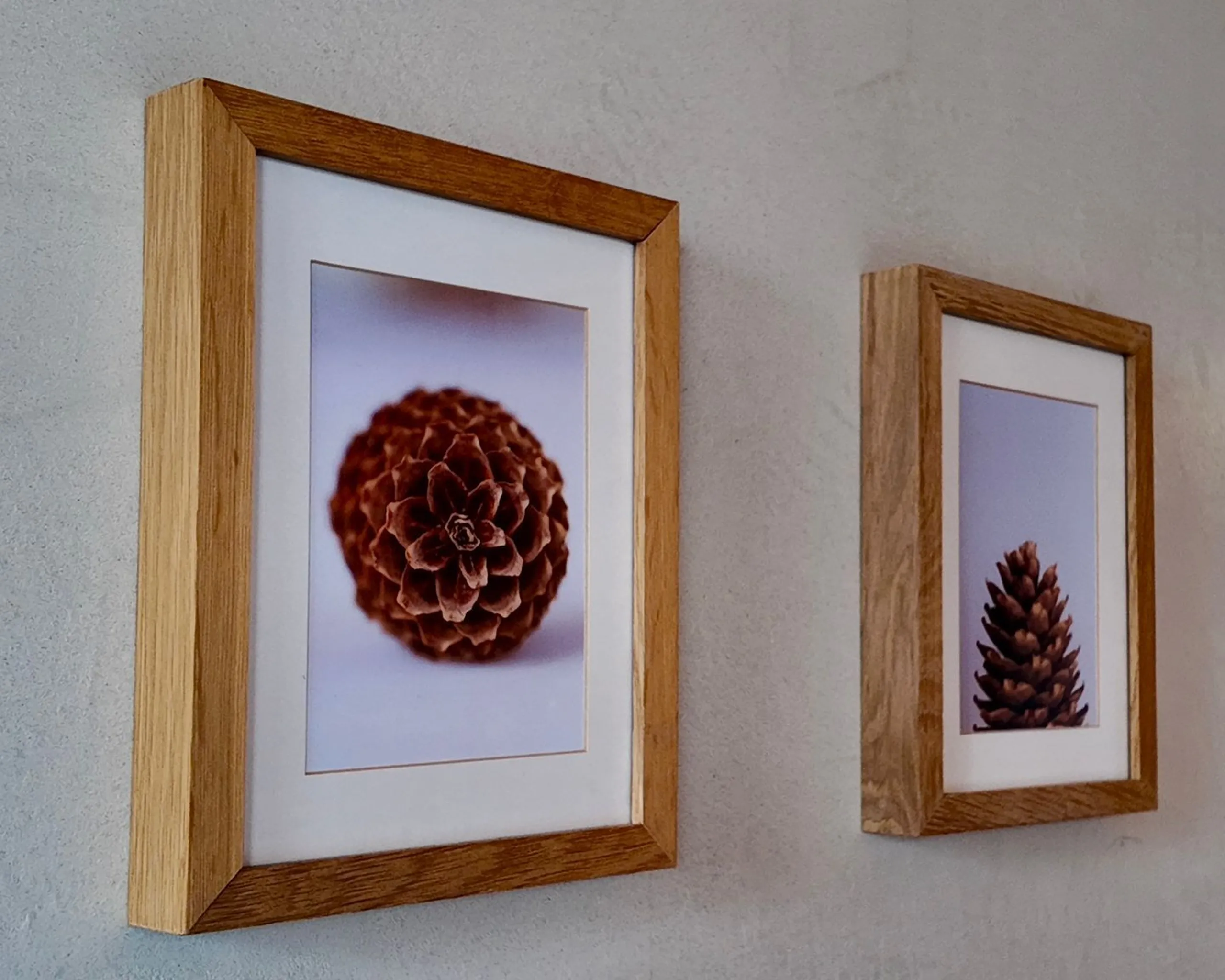 Whats App Image 2026 03 14 at 11 42 52 4